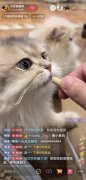 	从木森、方博到澳门coco姐，抖音电商作者共同打造双11狂欢秀场